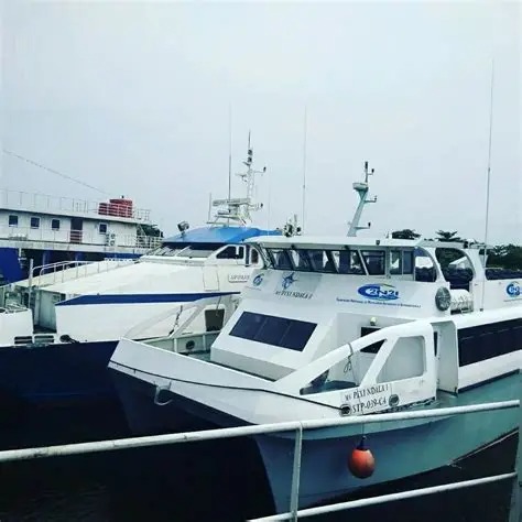la CNNII