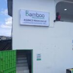 BAMBOO